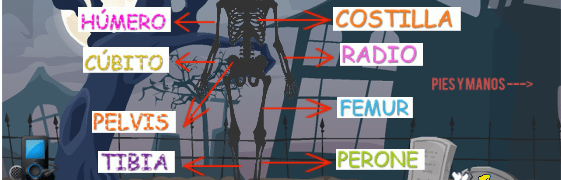 Aprende huesos del cuerpo humano. Juego Educación infantil
